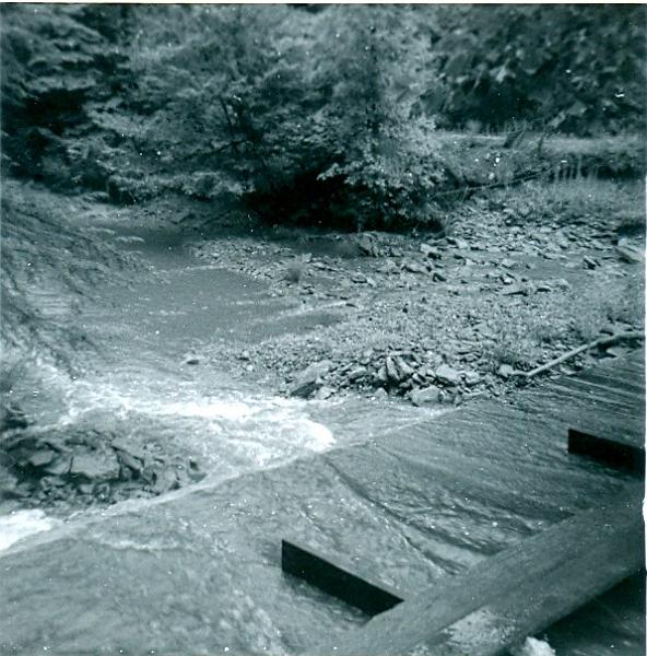 scan0006.jpg