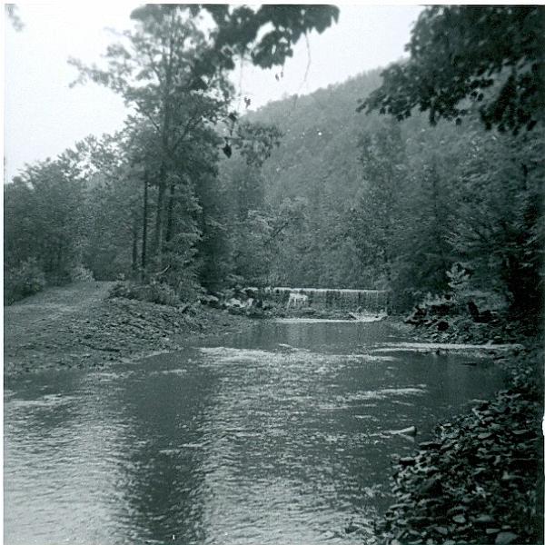 scan0020.jpg