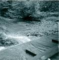 scan0006