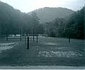 scan0024