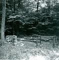 scan0043