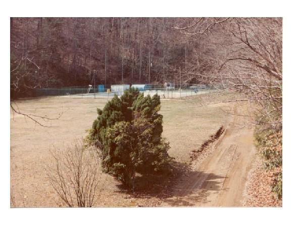 img012.jpg