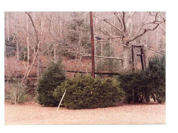 img013.jpg