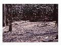 img008
