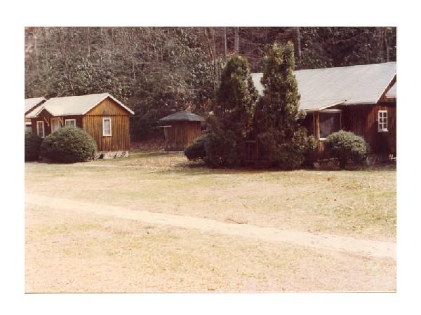 img003.jpg