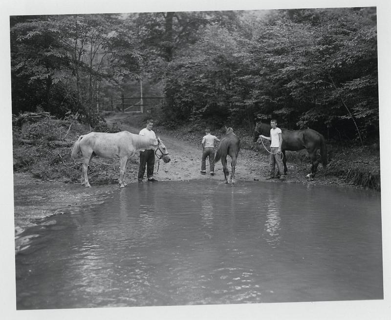 File0255a.jpg - Camelot, 1952